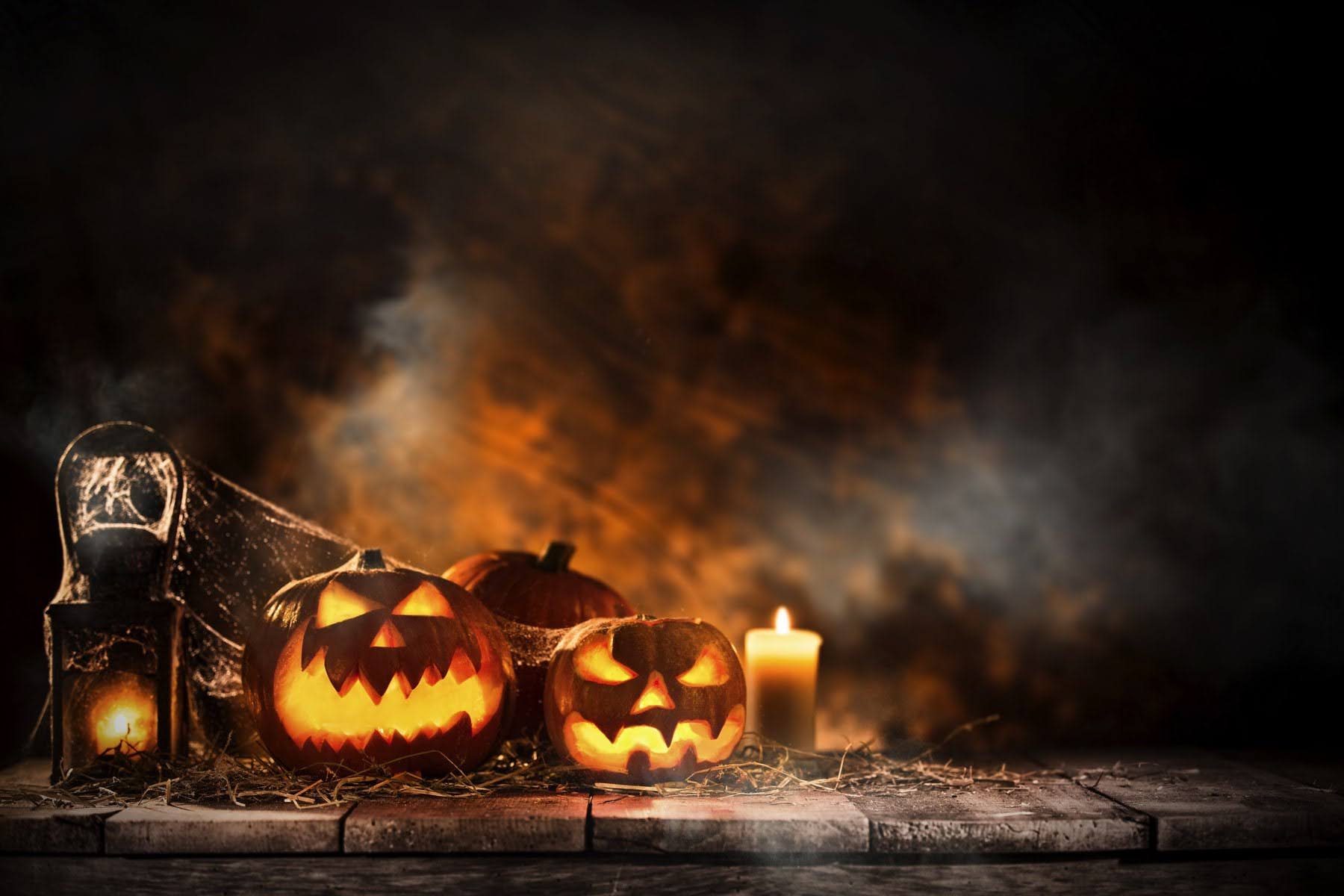 wallpaper et fond d'écran humeur Halloween citrouille fête célébration peur horreur vampire image picture mood photo photographie