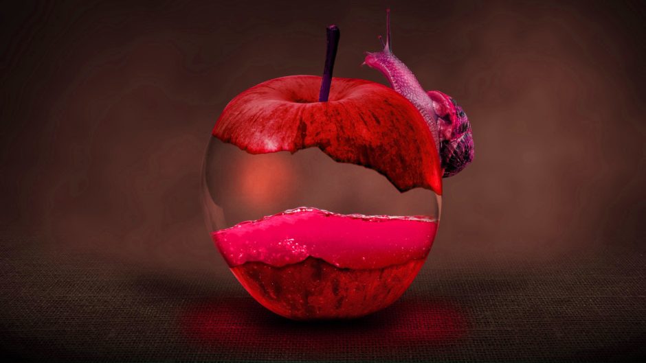 wallpaper et fond d'écran pomme rouge red apple graphic art graphique digitalart numérique escargot couleur color image picture photo photographie art graphic photomontage