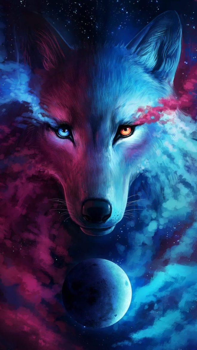 wallpaper et fond d'écran loup