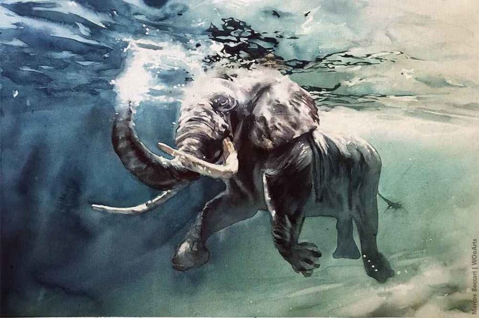 image picture artwork art artiste artist femme woman painting peintre peinture illustration illustrateur toile tableau aquarelle huile magnifique création oeuvre d'art oeuvre Marcos Beccari
