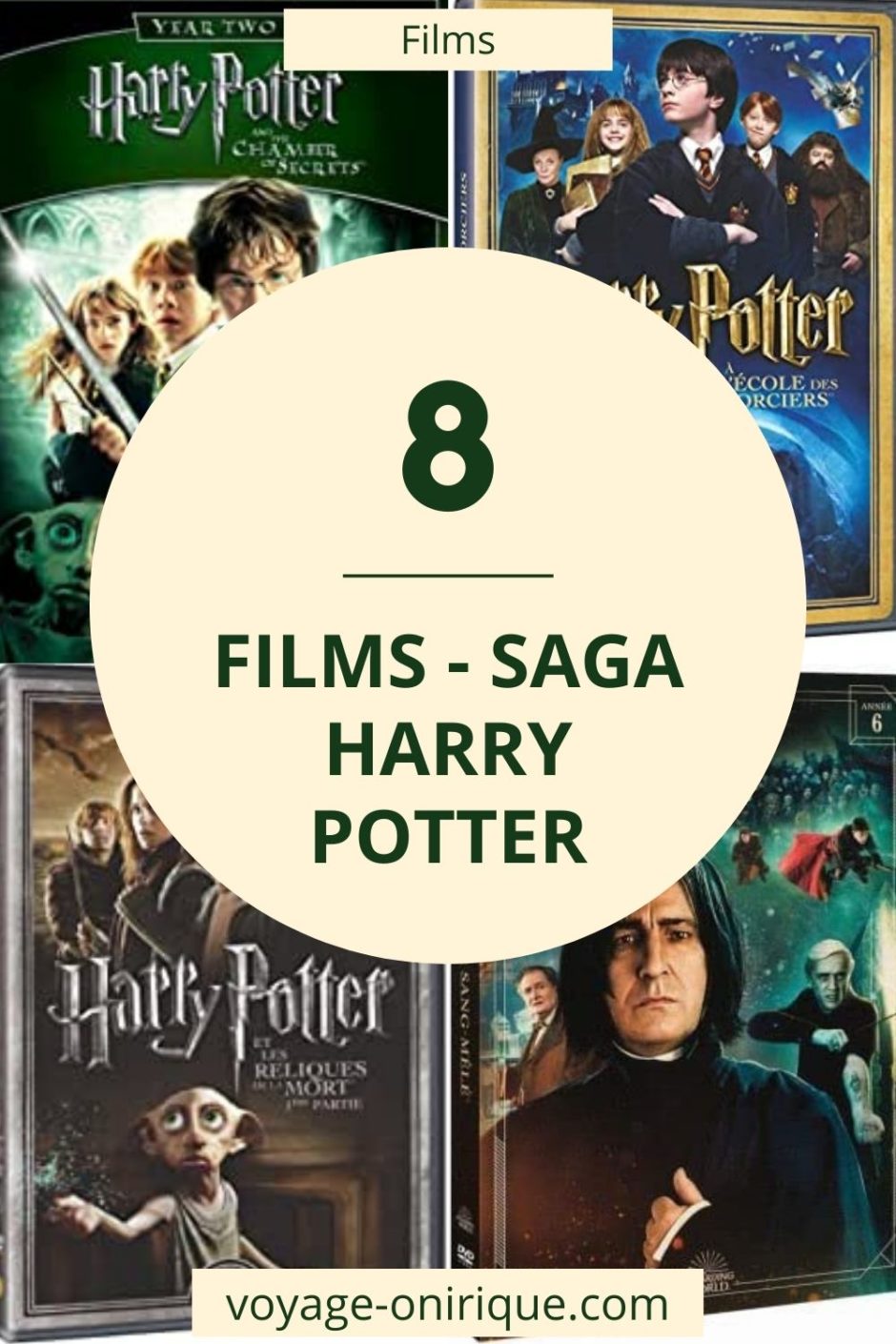 image picture film movie cinéma acteur actor saga Harry Potter filmographie sélection coup de coeur hommage affiche pochette sorciers magie