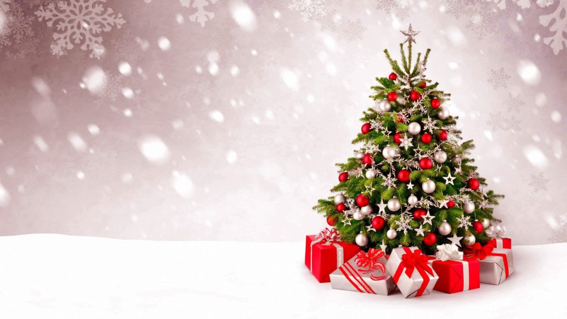 wallpaper et fond d'écran sapin de Noël Christmas pause blog fête célébration neige chat cat Père Noël Santa claus photo photographie photography