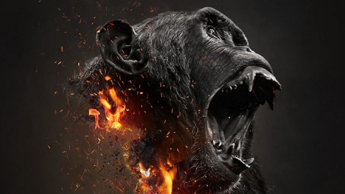 wallpaper et fond décran gorille graphique art graphic gorilla animals animaux numérique digital picture photo photographie photography