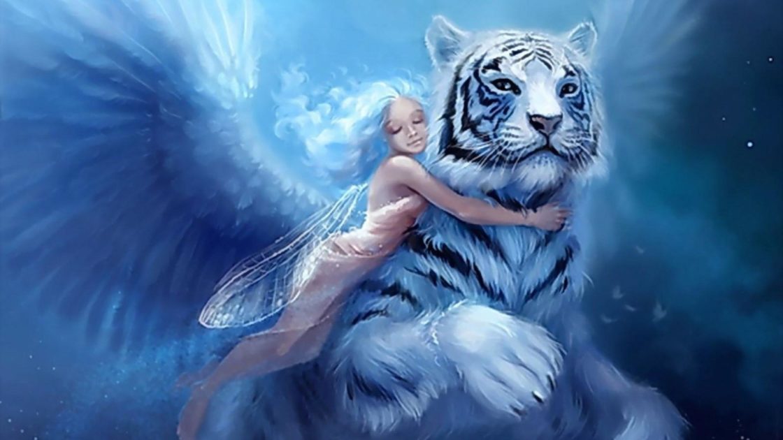 wallpaper et fond d'écran tigre fantasy fairy fantastique beau beautiful tiger image picture photo photographie animals animaux photography