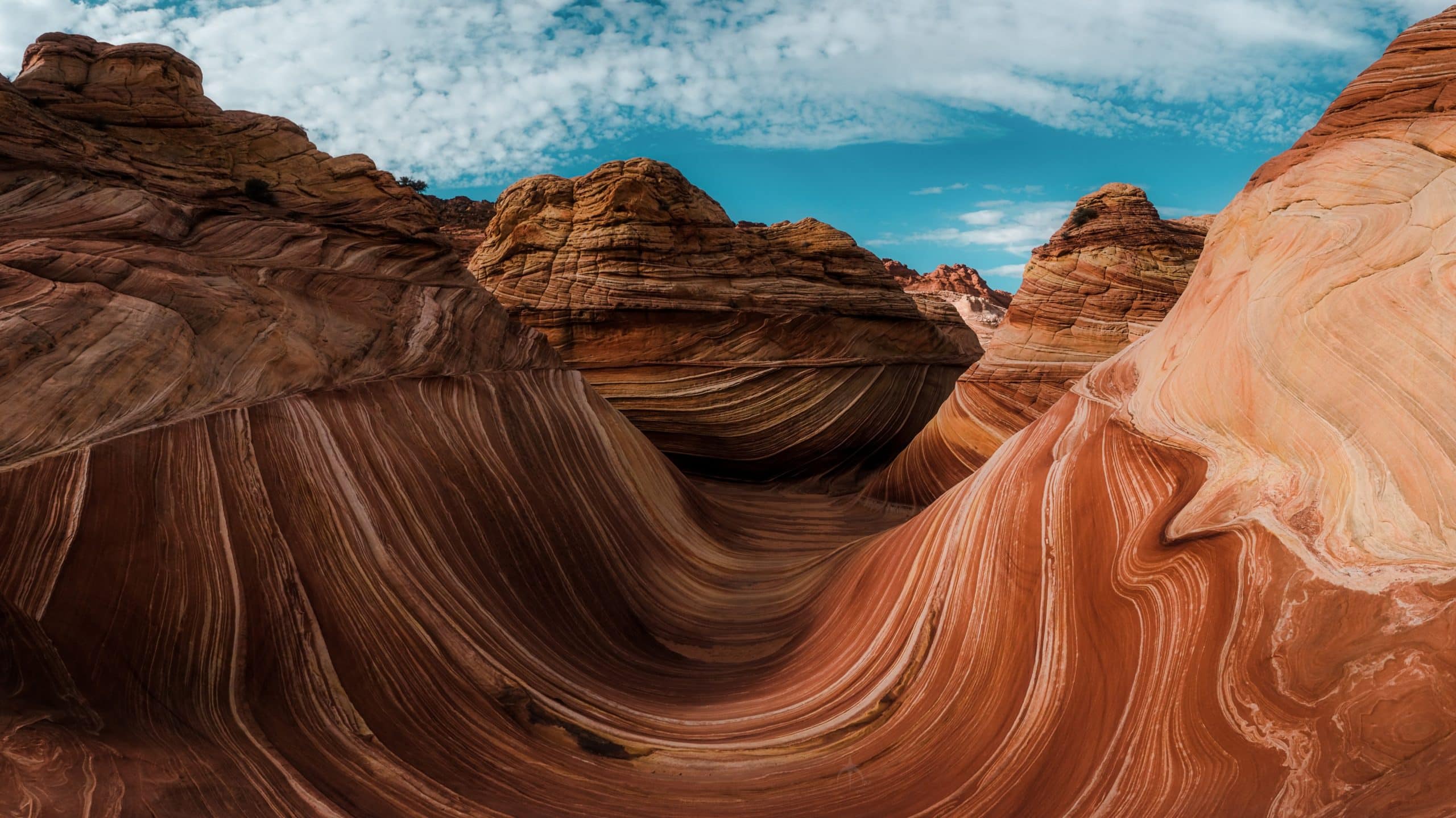 wallpaper et fond d'écran Canyon Arizona Amérique paysage landscape nature beau magnifique désert voyage travel tourisme tourist photo photographie photography