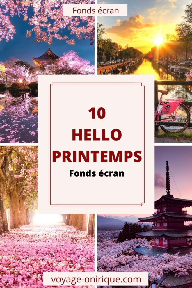 wallpaper et fond écran printemps hello spring nature saison paysage landscape fleurs flowers fleuri jardin garden beau beautiful sakura Japon Japonais arbres photo photographie photography