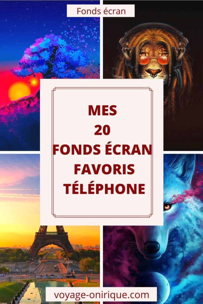wallpaper et fond d"écran téléphone phone coup de coeur sélection lion Tour Eiffel Paris animaux favoris préférés beau beautiful magnifique photo image picture photographie photography