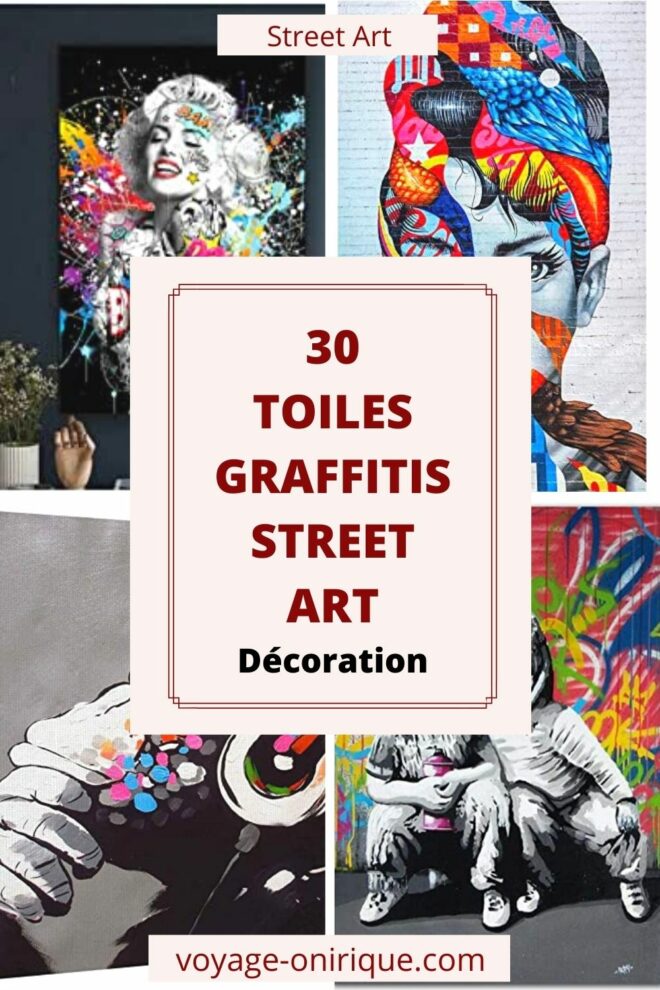 image picture art artiste artist peinture painting peintre graffiti street art toile tableau magnifique oeuvre Banksy bombe aérosol talent appartement maison décoration photo Amazon affiliation