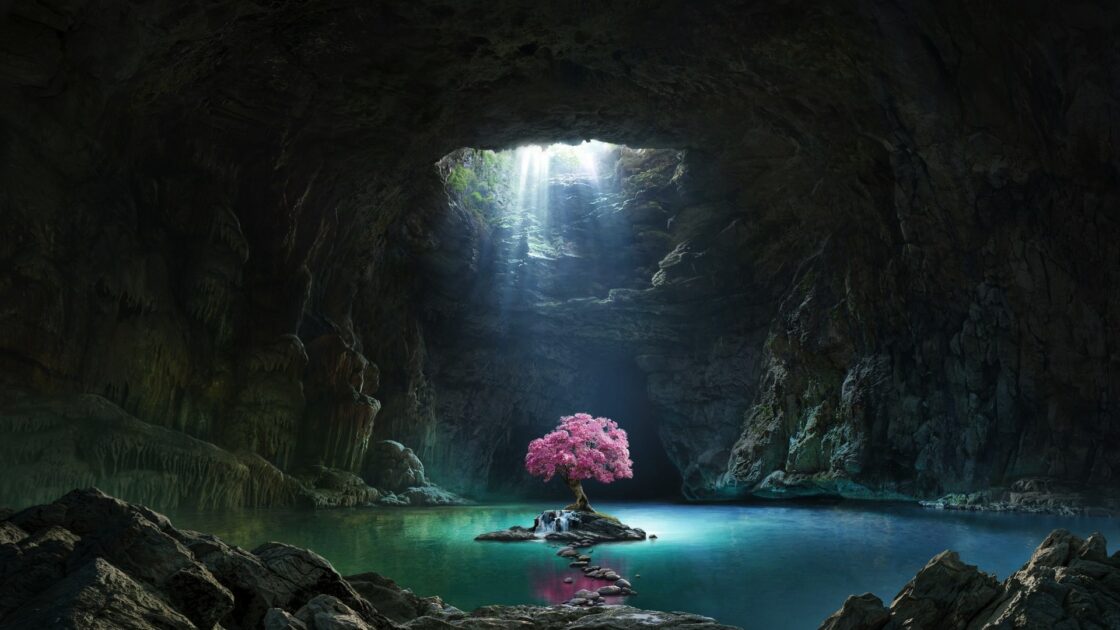 wallpaper et fond écran nature paysage landscape fantasy fantaisie fantastique grotte arbre tree magique beau beautiful imaginaire picture photo photographie photography