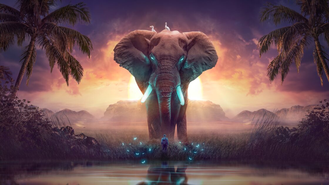 wallpaper et fond écran éléphant fantasy fantaisie art graphique graphic digital art artwork nature animals animaux paysage magnifique beau beautiful picture image photo photographie photography