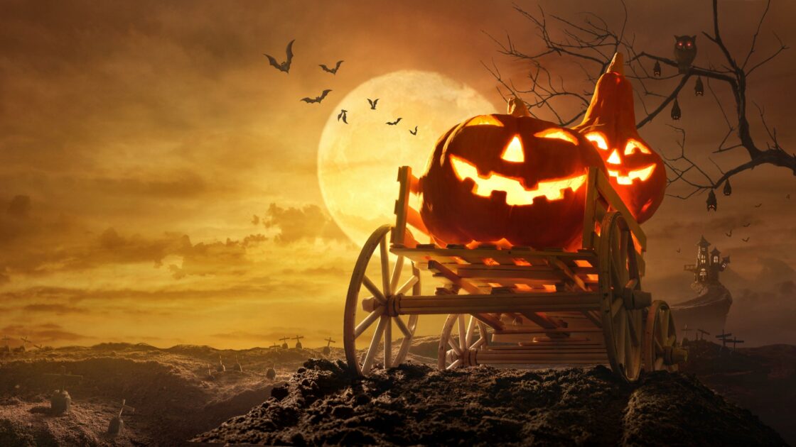 wallpaper et fond écran humeur Halloween Mood célébration fête citrouille sorcière pumpkin peur horreur fantôme picture image photo photographie photography