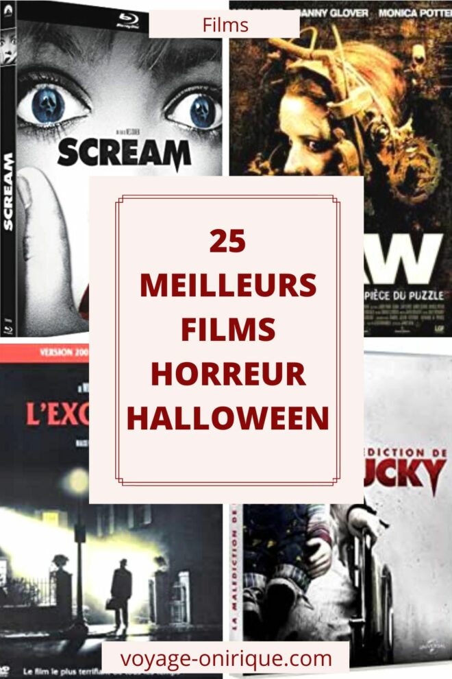 image picture pochette film cinéma movie cinématographie filmographie horror horreur triller terreur halloween terrifiant effrayant sélection meilleurs films hommage coup de coeur peur photo photographie américain