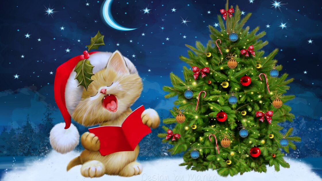 wallpaper et fond écran chants de Noël Christmas songs chat chaton cat chanteur fête célébration humour humor drôle funny picture image photo photographie photography