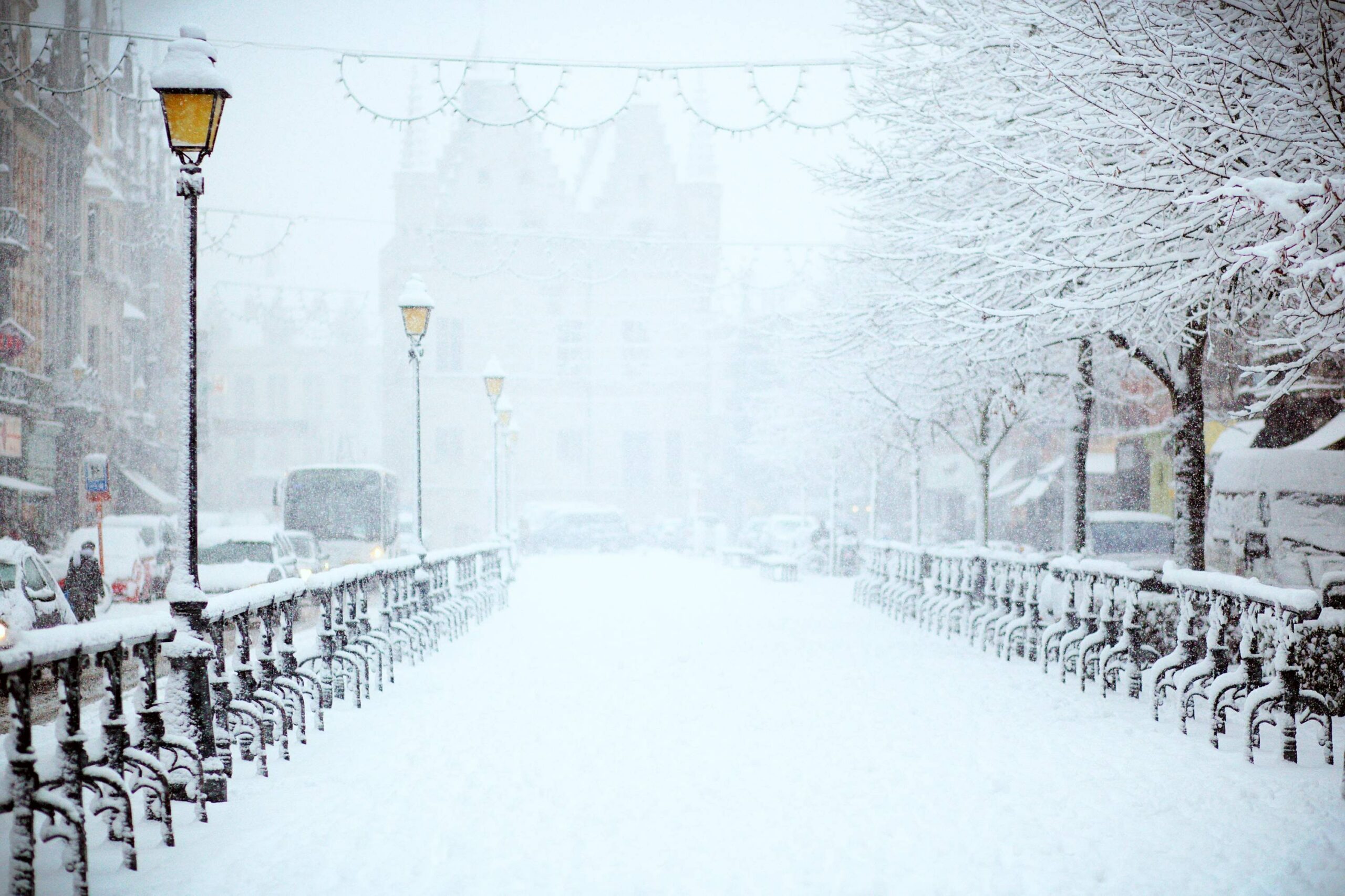 wallpaper et fond écran neige hiver snow winter nature paysage landscape saison enneigé beau beautiful paradis blanc froid cold picture photo photographie photography