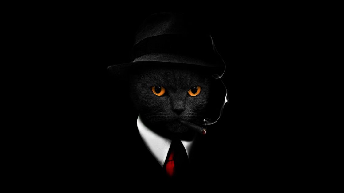 wallpaper et fond écran chat fumeur smoking fantaisie fantasy cat humour humor funny drôle amusant photomontage chat noir black cat animals animaux portrait cigarette smoke picture image photo photographie photography
